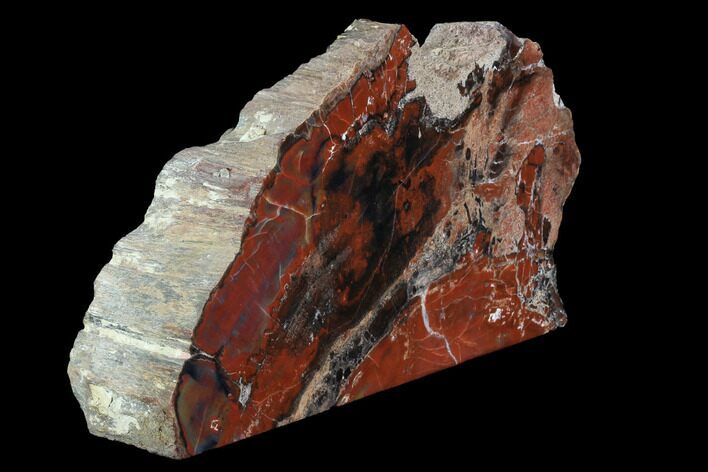 Wide, Red Arizona Petrified Wood Section - Free-Standing #93553